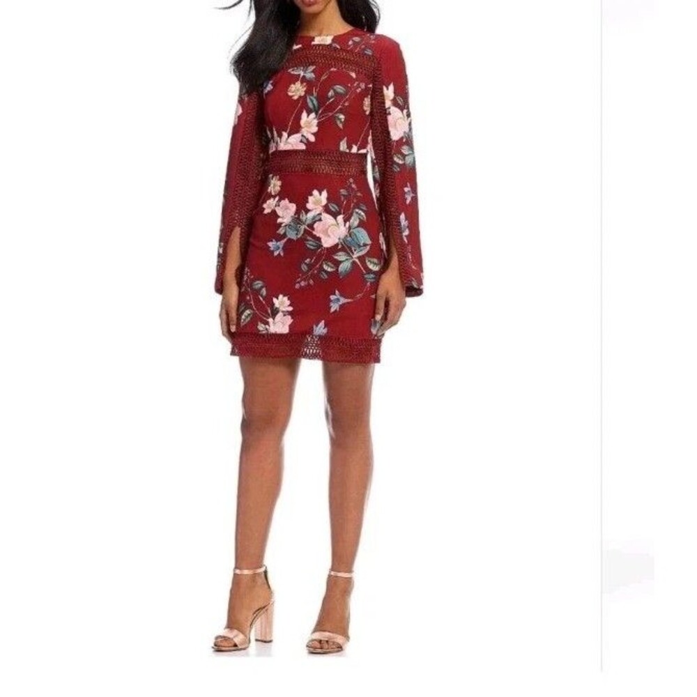 KEEPSAKE  Dress The Label Do It Right Mini Small Burnt Red Foral
